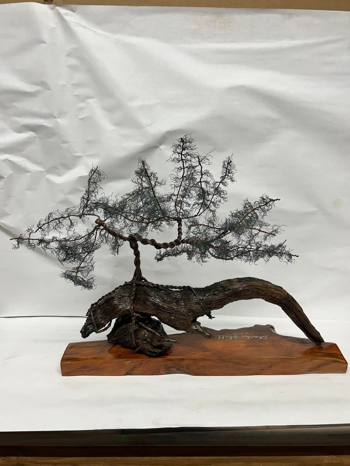 Cedar Root Bonsai