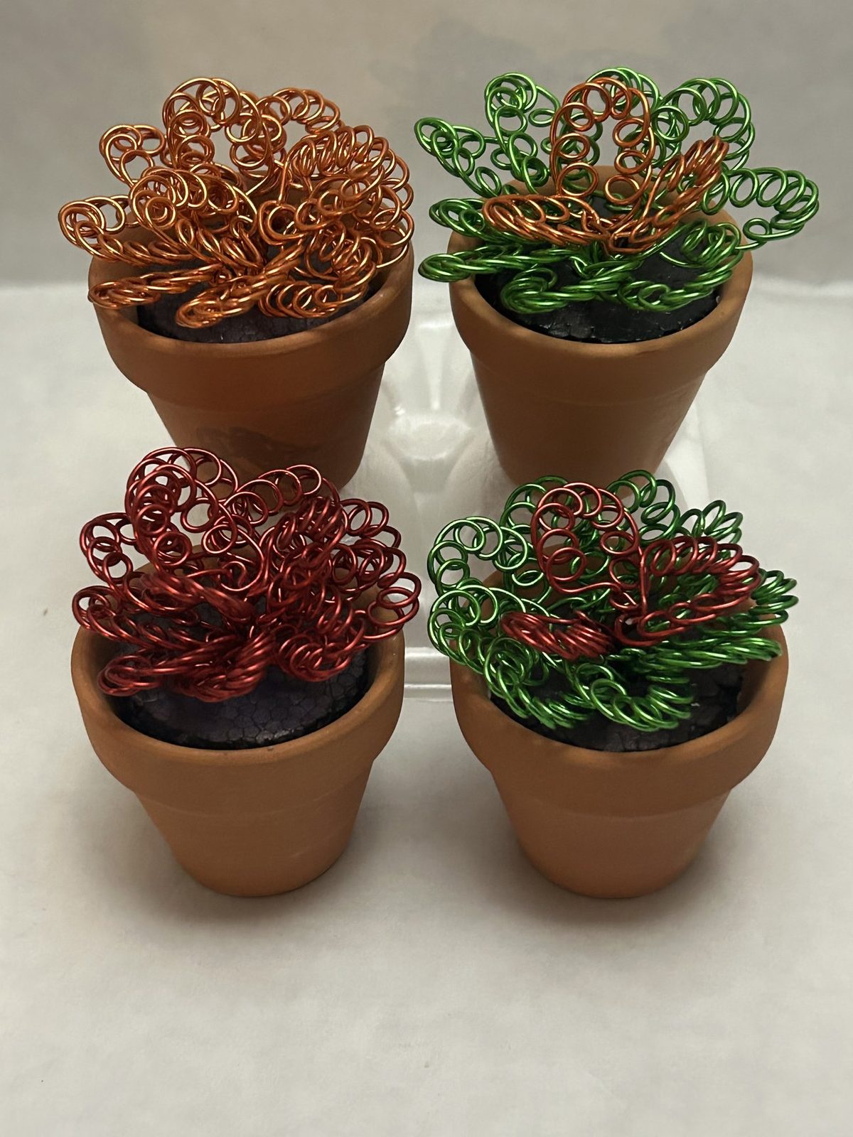 Wire succulents in copper, crimson and green