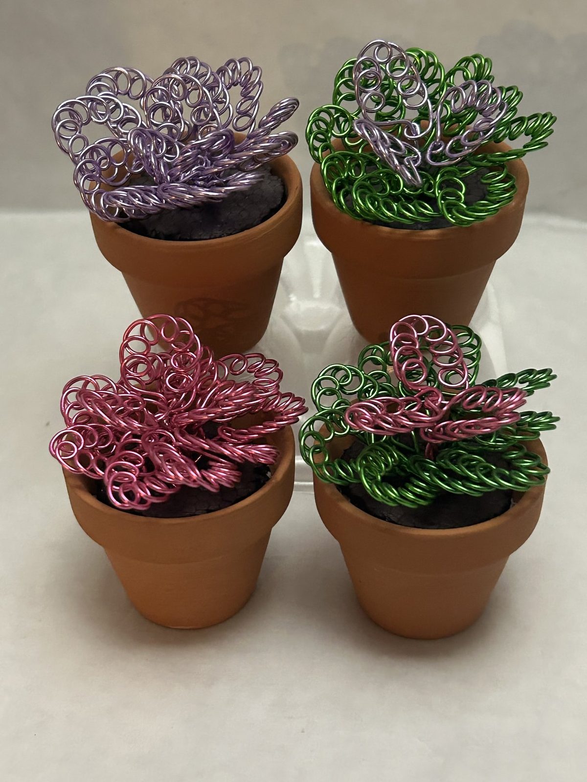 Wire succulents in rose, lilac and green