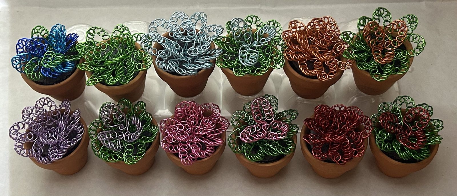 Twelve colors of wire succulents